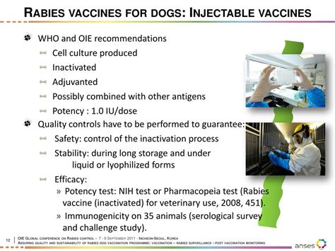 PPT - OIE Global conference on Rabies control Assuring quality and
