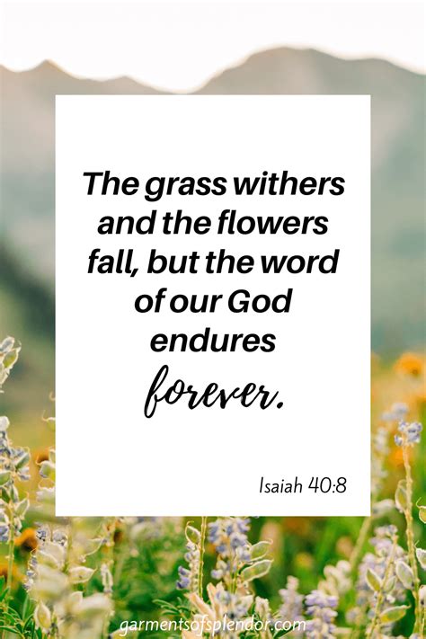 38 Encouraging Bible Verses About Flowers With Free Printable