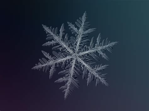 How Do Snowflakes Form How It Works