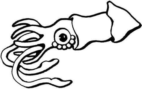 Squid Coloring Page & Coloring Book