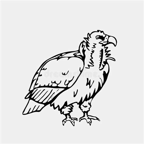 De Tekening Van De Gier Stock Illustrations, Vectors, & Clipart (226