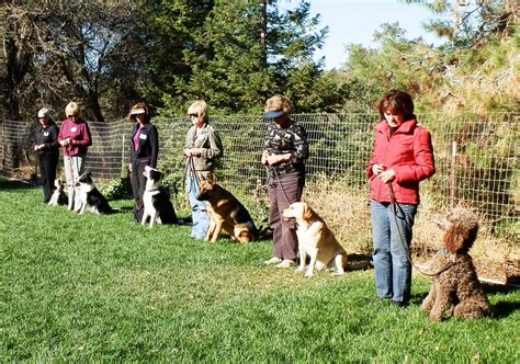 Get a discounted rate on pet friendly hotels in rancho cordova. Fair Oaks Responsible Dog Owners Group