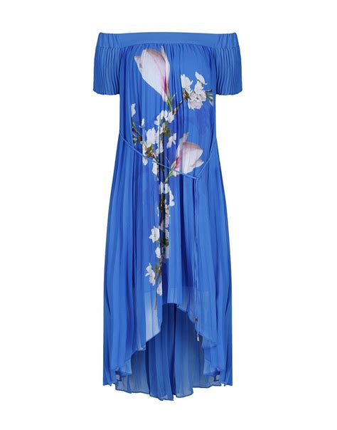 Elegant And Sophisticated The Melma Harmony Pleated Maxi Dress By Ted