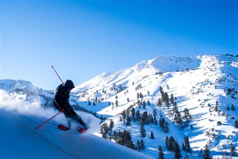 I was in tamarack on thursday and it was just powder galore on the less travelled runs. Big Ideas, Big Skiing at Powder Mountain, Utah | The Brave ...