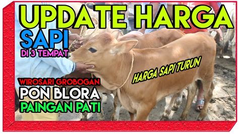 Harga Sapi Kurban 2021 Jawa Tengah - Jual Sapi Qurban PO Di Magelang