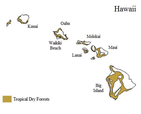 Tropical Dry Forests Of Hawaii