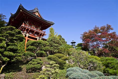 Please read the offiical press release from the san francisco recreation and parks here. Japanese Tea Garden in Golden Gate Park