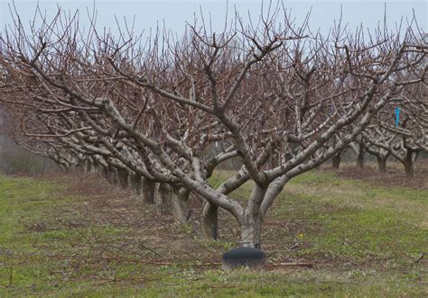 Maybe you would like to learn more about one of these? Texas crop, weather for Feb. 7, 2012 | AgriLife Today