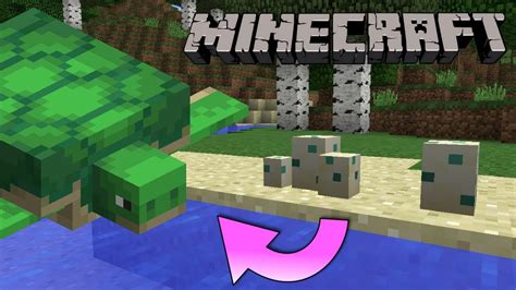 Most turtle eggs that are in the wild are protected by law, so even if you want to move them in a safer place you shouldn't do it. How to Hatch Minecraft Turtle Eggs! (Minecraft 1.13 Update ...