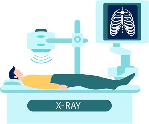 Clipart Of X Rays