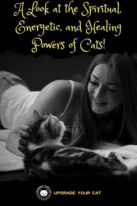 The Power Of Cats Spiritual Energetic And Healing