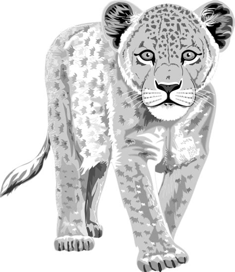 Free Free 59 Snow Leopard Print Svg SVG PNG EPS DXF File