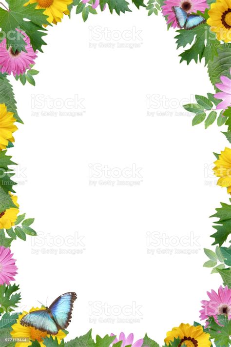 There are a range of css properties that you can use to define borders but the shorthand border property is the most concise way. Design Flower Border With Butterfly Copy Space Stock Photo ...