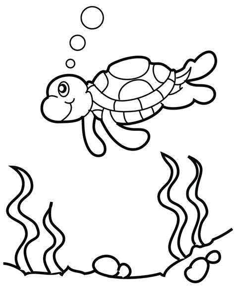 Free Printable Turtle Coloring Pages Coloring Home