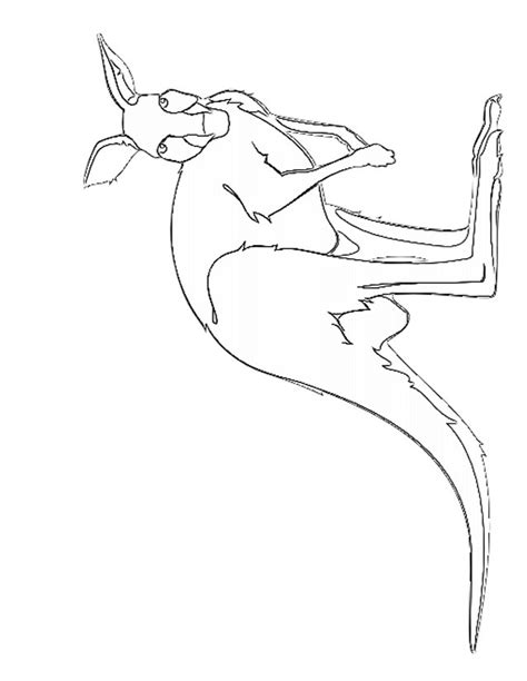 Coloriage Kangourou mammifère dessin gratuit à imprimer