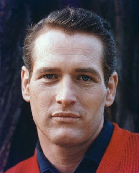 800 best PAUL NEWMAN images on Pinterest | Classic hollywood, Joanne