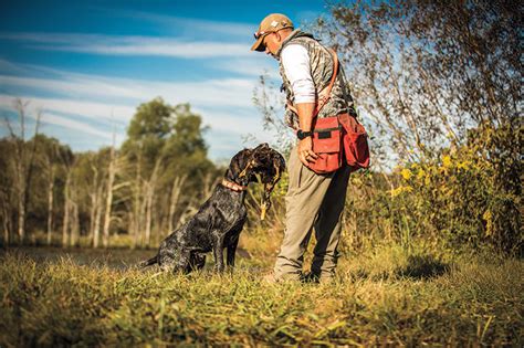 Principles Of Versatile Hunting Dog Training Gun Dog