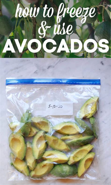 Have You Ever Wondered If You Can Freeze Avocados Or Seen Frozen