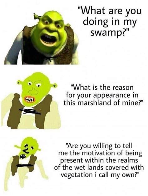 46 Shrek Memes Thatll Make You An All Star Memes School Memes Images