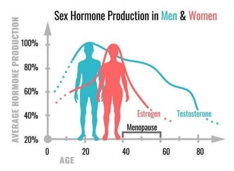Hormônios Sexuais Conheça Suas Funções Melhor Com Saúde