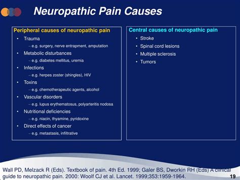 Ppt Neuropathic Pain And Diabetic Neuropathy Powerpoint Presentation