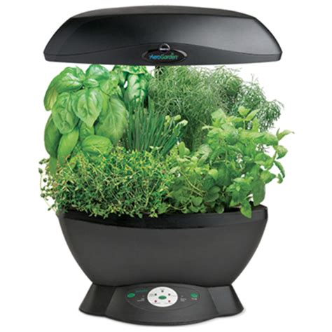 Reviews / by ben perry. Miracle-Gro 6pc. Compact Soil Free AeroGarden - Sears Marketplace
