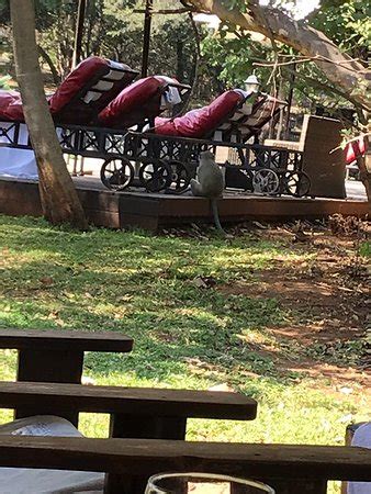 Your pillowtop bed comes with down comforters and premium bedding. Mangwanani River Valley Orange Spa (Hartbeespoort) - 2019 ...