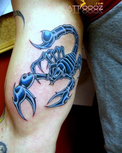 A tribal scorpion tattoo design on waist: Scorpion Tribal Tattoo Images| Meaning| Designs,Scorpion ...