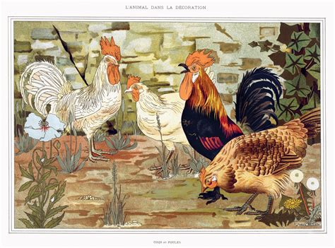 Rooster Chickens Art Vintage Free Stock Photo Public Domain Pictures