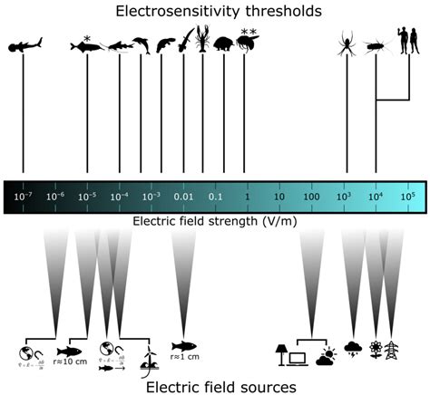 Minimum behavioural thresholds of electric field detection for various