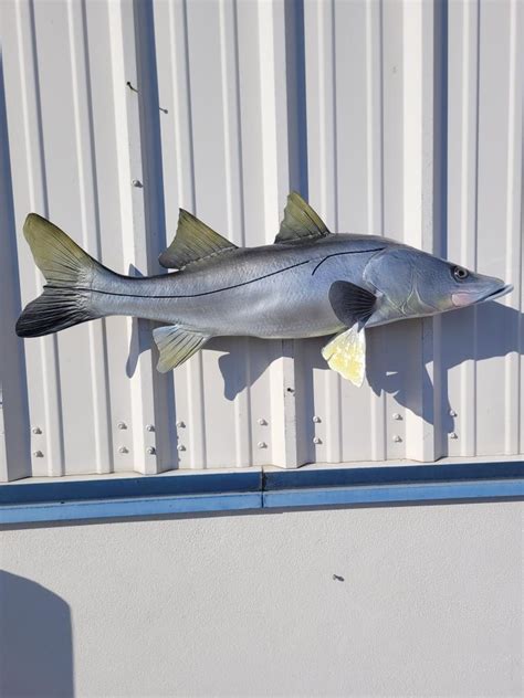 39 Snook Full Mount Fish Replica Customer Proofs 22157 Mount This