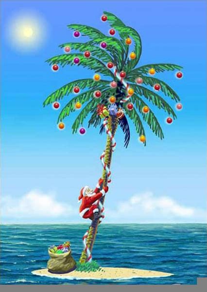 Tropical Florida Christmas Clipart Free Images At Clker