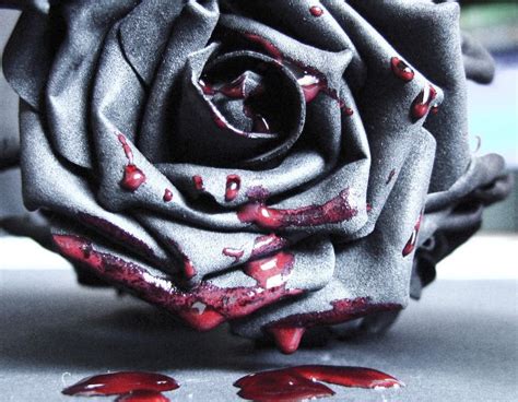 There are many different types of rose tattoos that people like to ink on their bodies. 20 best images about bleeding rose on Pinterest | Rose ...
