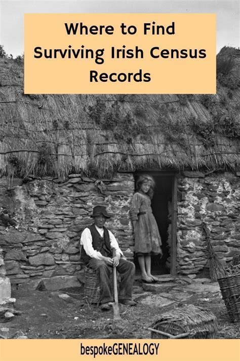 This term is used mostly in connection with national population and housing censuses; How to find Irish Censuses | Irish genealogy, Irish family ...