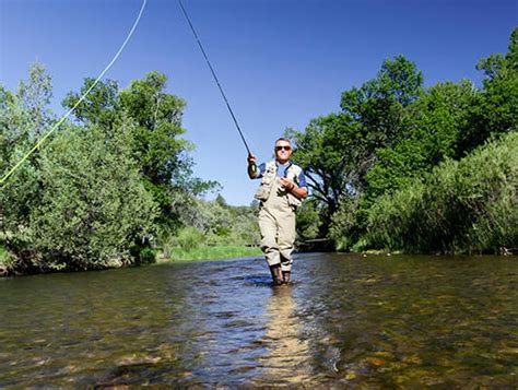 Fishing And Fly Fishing In New Mexico Lakes Rivers And Streams New