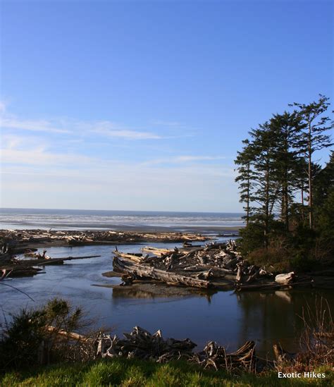 Check spelling or type a new query. Olympic Peninsula Hikes, Guides and Updates: Top Romantic ...
