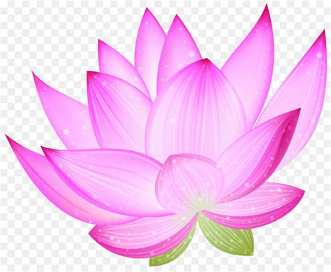 Blue Lotus Flower Clip Art
