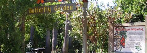We did not find results for: Doheny State Beach Interpretive Association