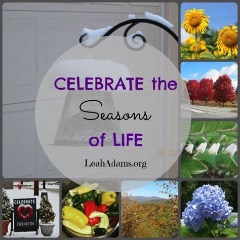 Celebrate The Seasons Of Life Seasons Of Life Seasons Celebrities