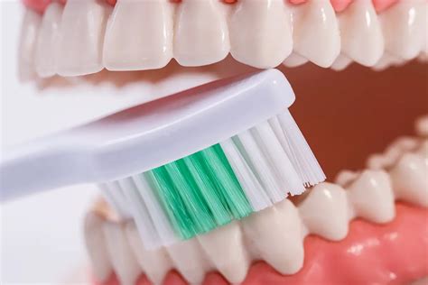 When Should I Be Worried About White Gums Around Teeth Modern Dental