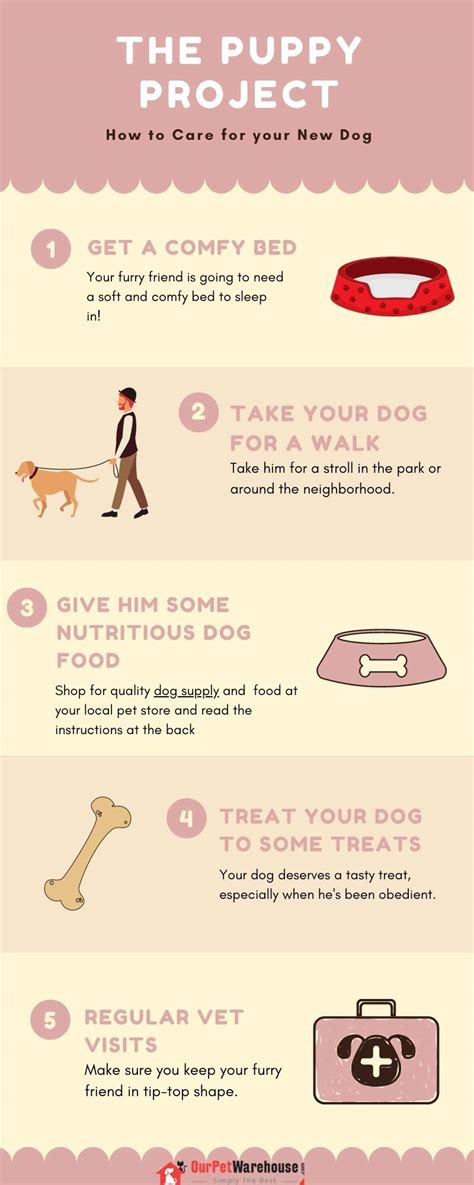 How To Care For Your New Dog Visulattic Your Infographics Destination