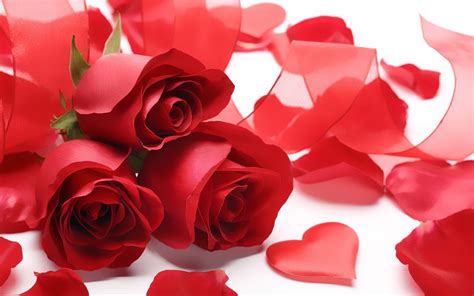 Free Download Red Rose Love Wallpaper 55 Images 1920x1200 For Your