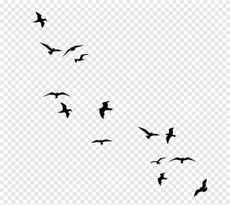 Bird Drawings Black And White
