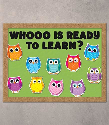 Carson Dellosa Colorful Owls Colorful Cut Outs Classroom Décor 36