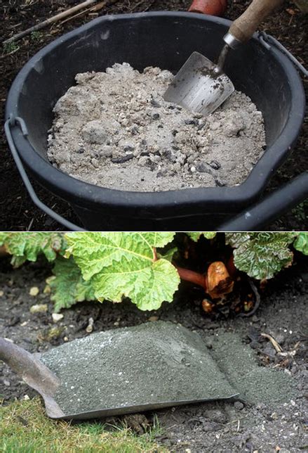 Maybe you would like to learn more about one of these? Using wood ashes in the garden #Organic_Gardening
