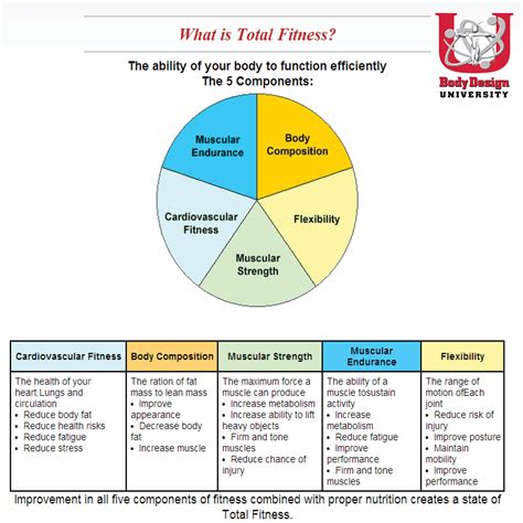 Define Components Of Physical Fitness