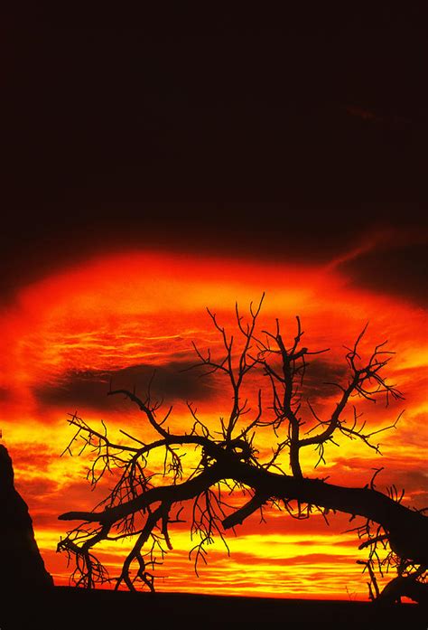 The Remaining Glow From A Prehistoric Campfire Photograph By Bijan