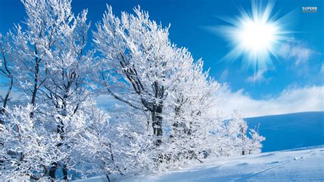 Winter Wide Wallpaper 1920×1080 Hd Wallpapers Hd Backgroundstumblr Backgrounds Images