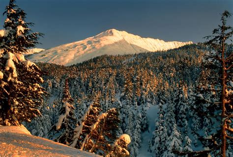 Snow Forest Mountains Trees Landscape Park Winter Wallpapers Hd