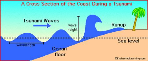 Projenizin bütçesine uygun fiyatlı, yüksek kaliteli cutaway diagram typical tsunami inundation. Tsunami- EnchantedLearning.com